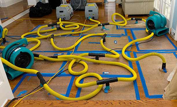Professional Crawl Space Water Removal technician working in Hutchins, TX